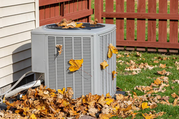 Best HVAC air duct cleaning  in Edgewood, MD